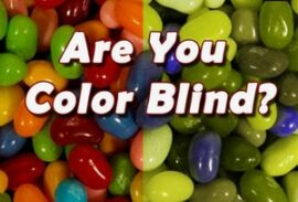 Are you color blind